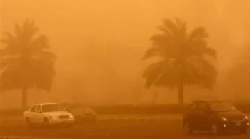 تحذير بحري.. رياح قوية تقلب موازين الطقس وتعرقل حركة الملاحة بعدة مناطق